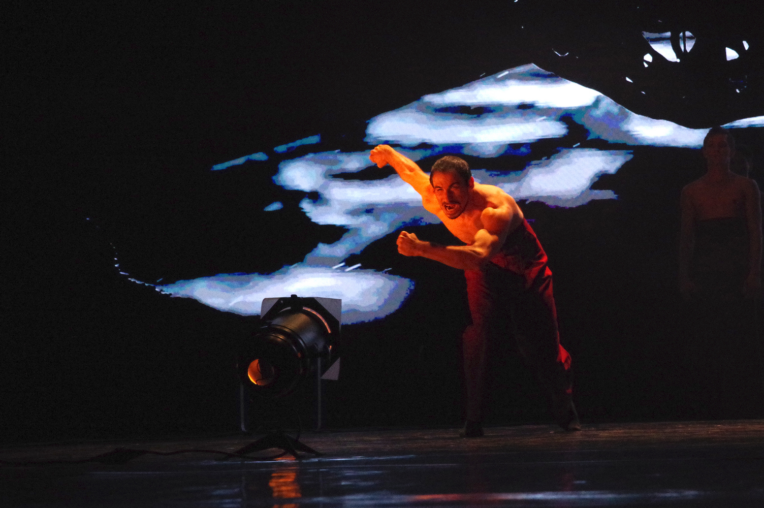 Пилигрим Балет Москва Дубинин